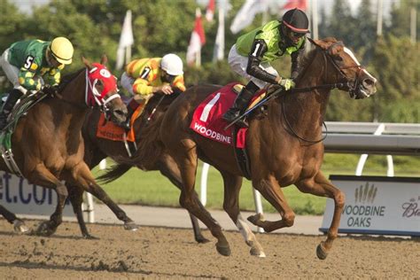 twinspires carryover